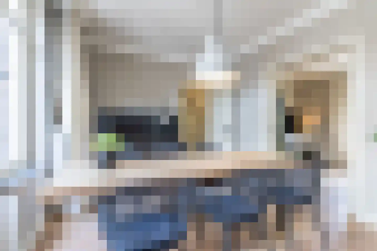 Agnes Printhagenstraat 8 Geleen thumbnail 29