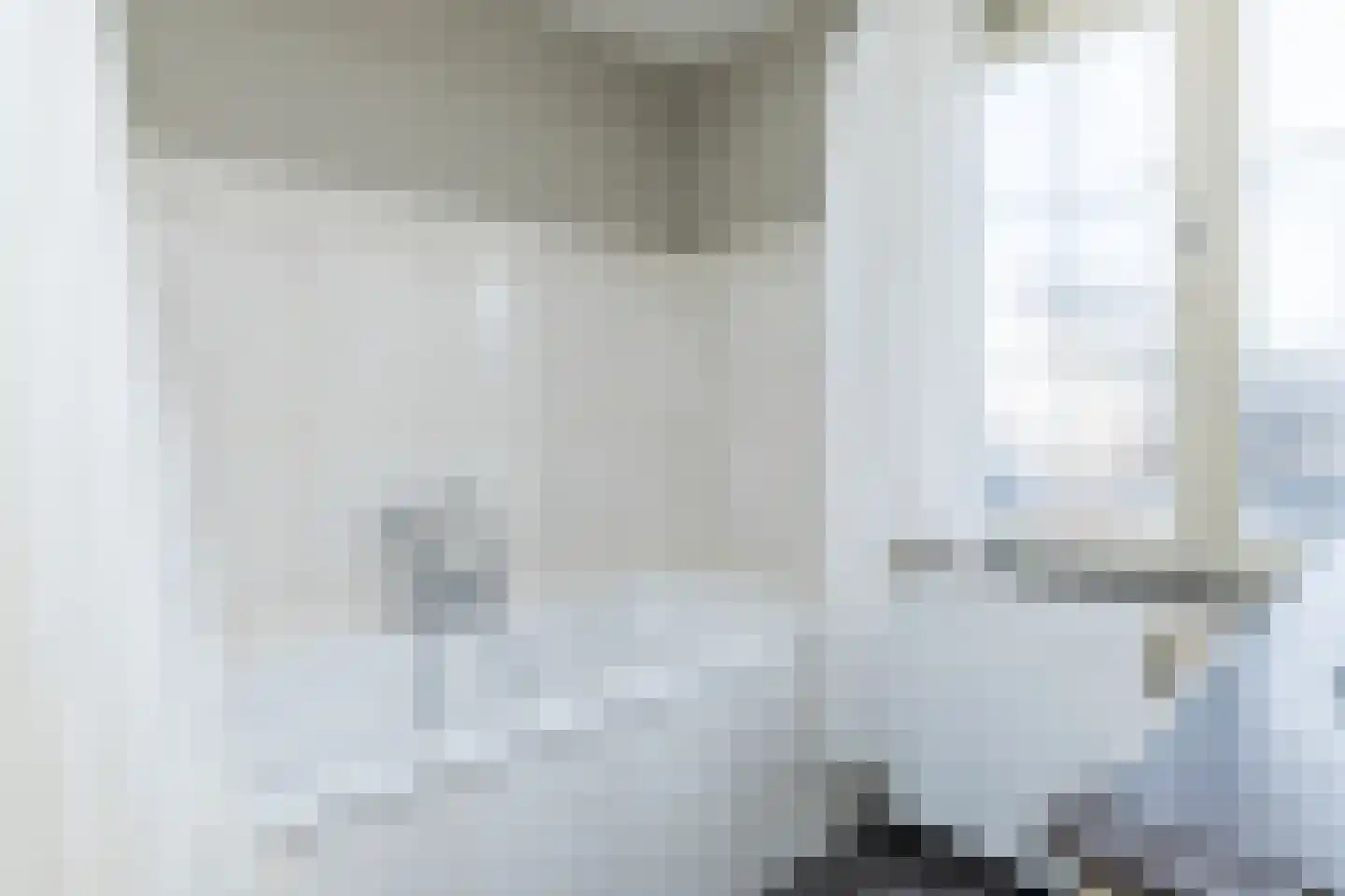 Agnes Printhagenstraat 8 Geleen thumbnail 48