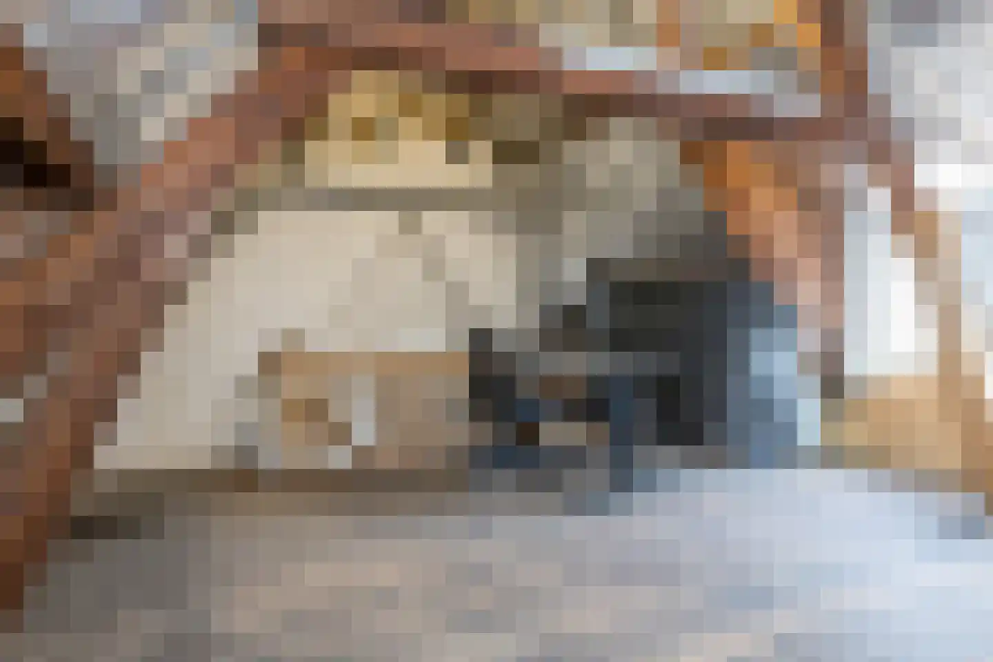Agnes Printhagenstraat 8 Geleen thumbnail 51