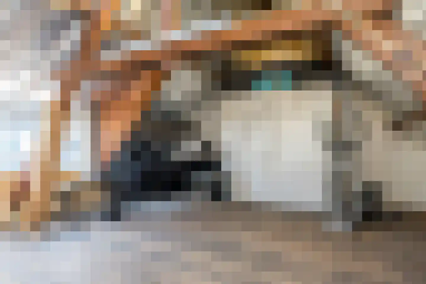 Agnes Printhagenstraat 8 Geleen thumbnail 52