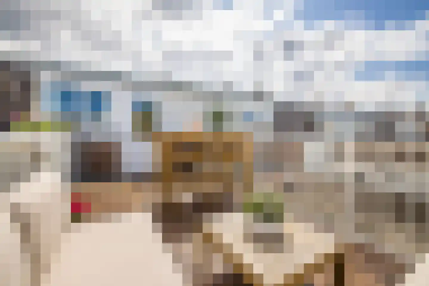 Agnes van Leeuwenberchstraat 16 BS Utrecht thumbnail 52