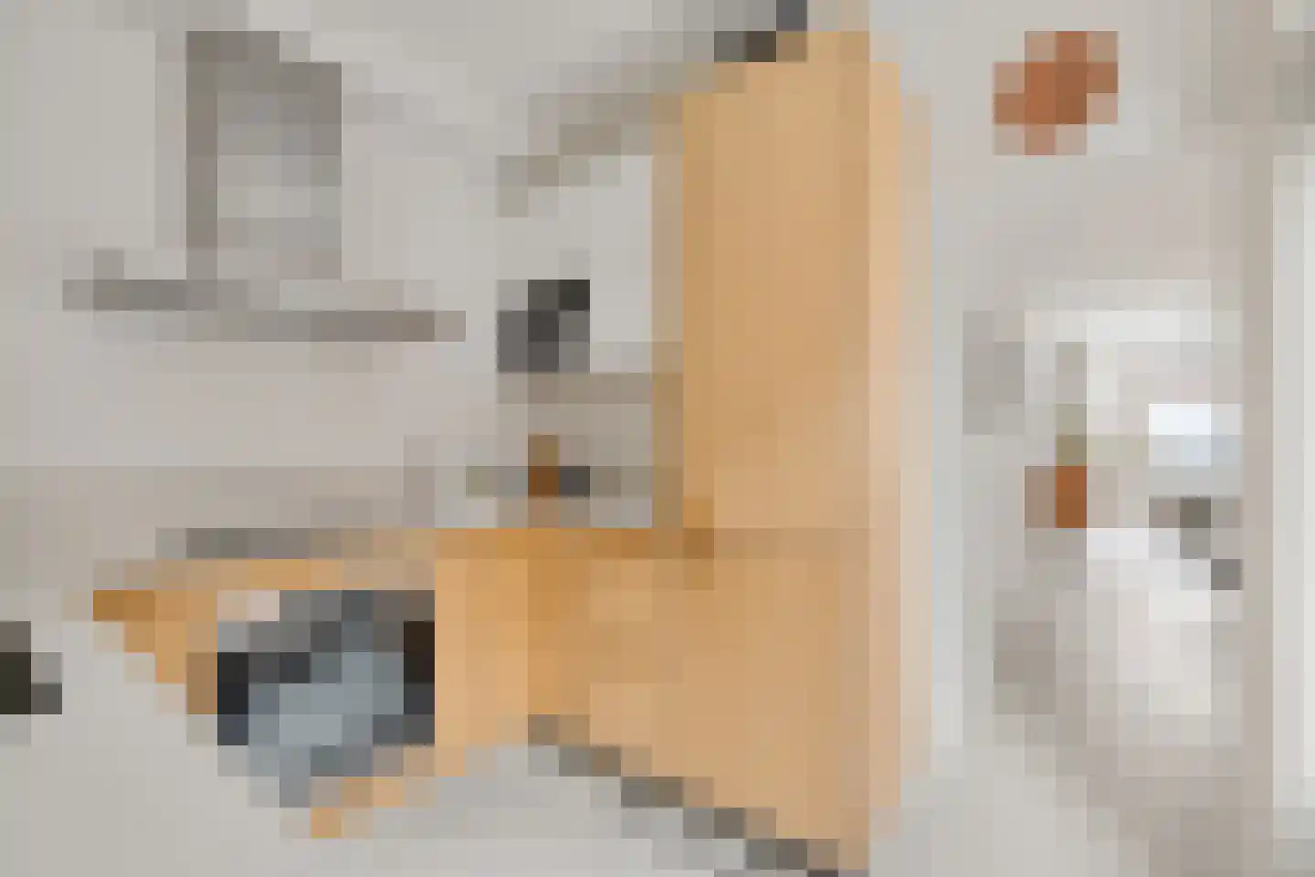 Agnes van Leeuwenberchstraat 18 Utrecht thumbnail 17