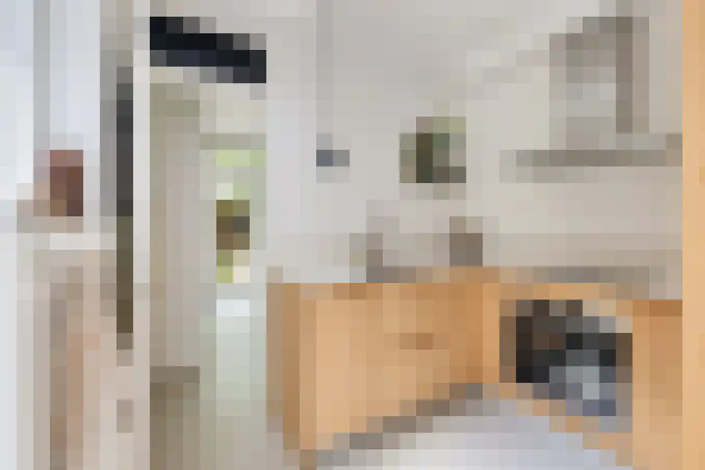 Agnes van Leeuwenberchstraat 18 Utrecht thumbnail 19