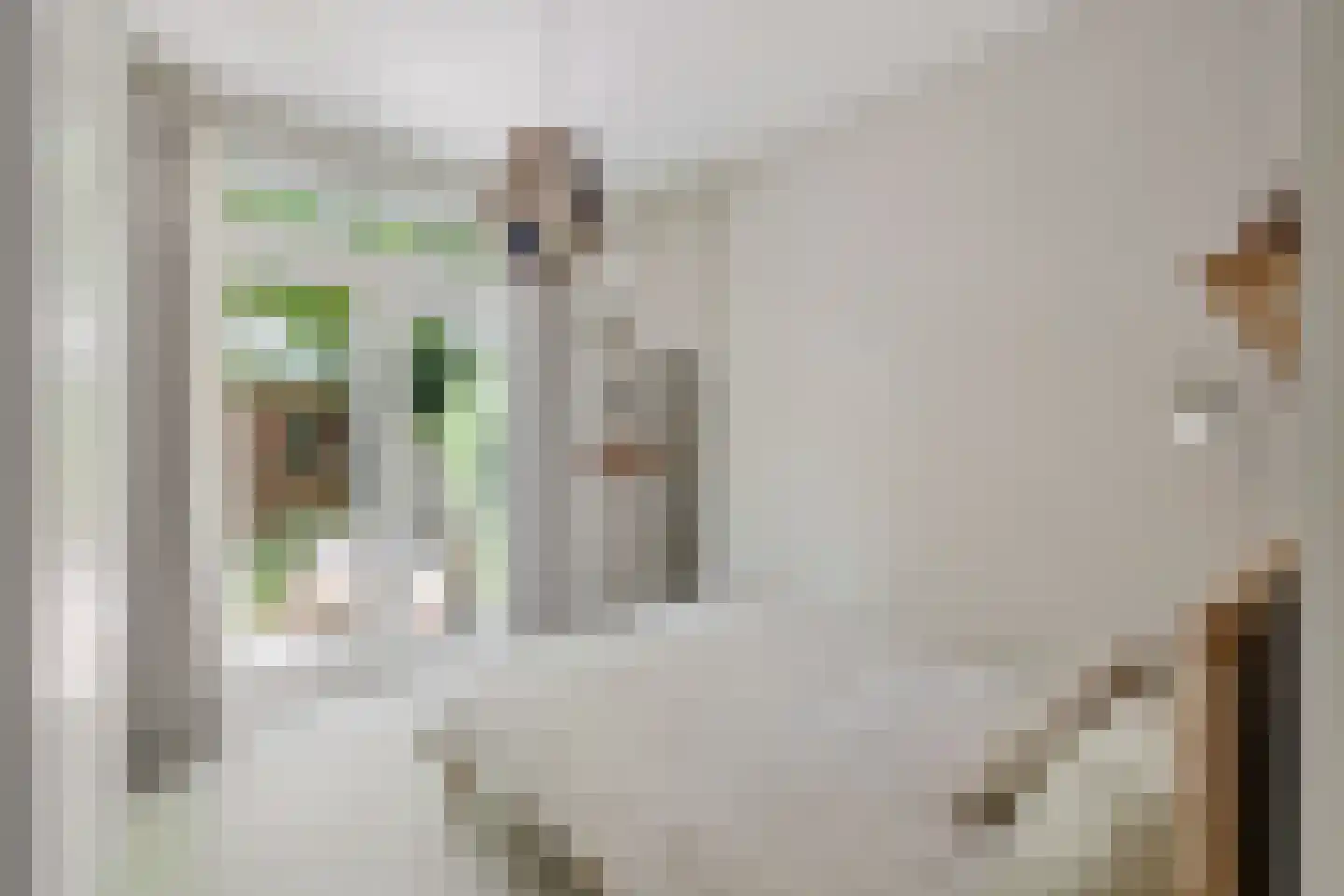 Agnes van Leeuwenberchstraat 18 Utrecht thumbnail 20