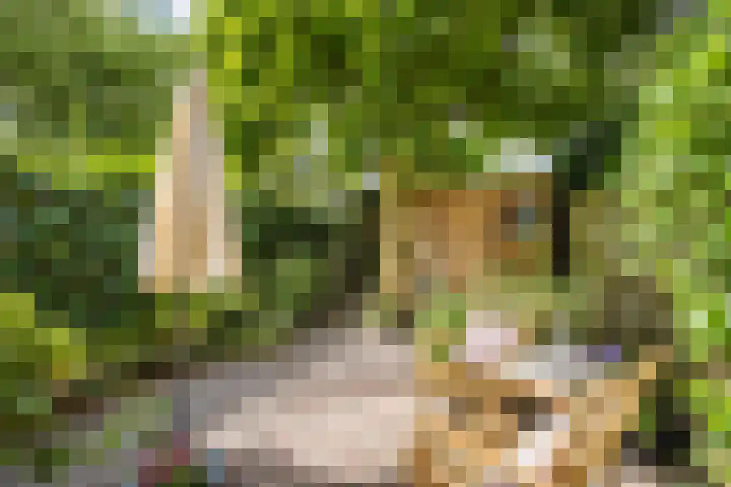 Agnes van Leeuwenberchstraat 18 Utrecht thumbnail 26