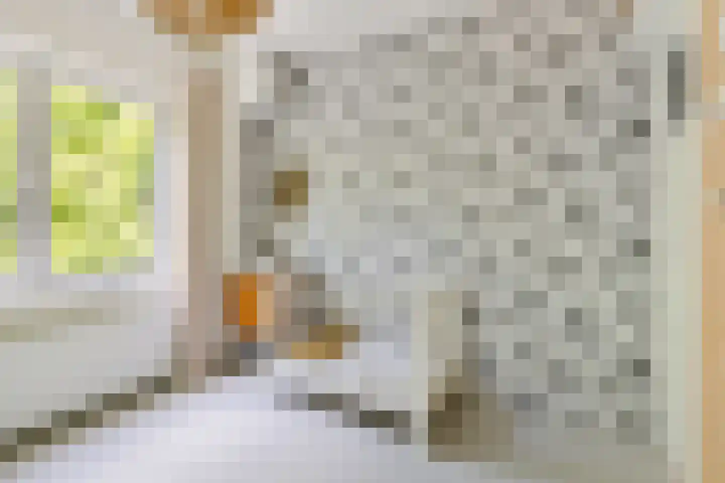 Agnes van Leeuwenberchstraat 18 Utrecht thumbnail 38