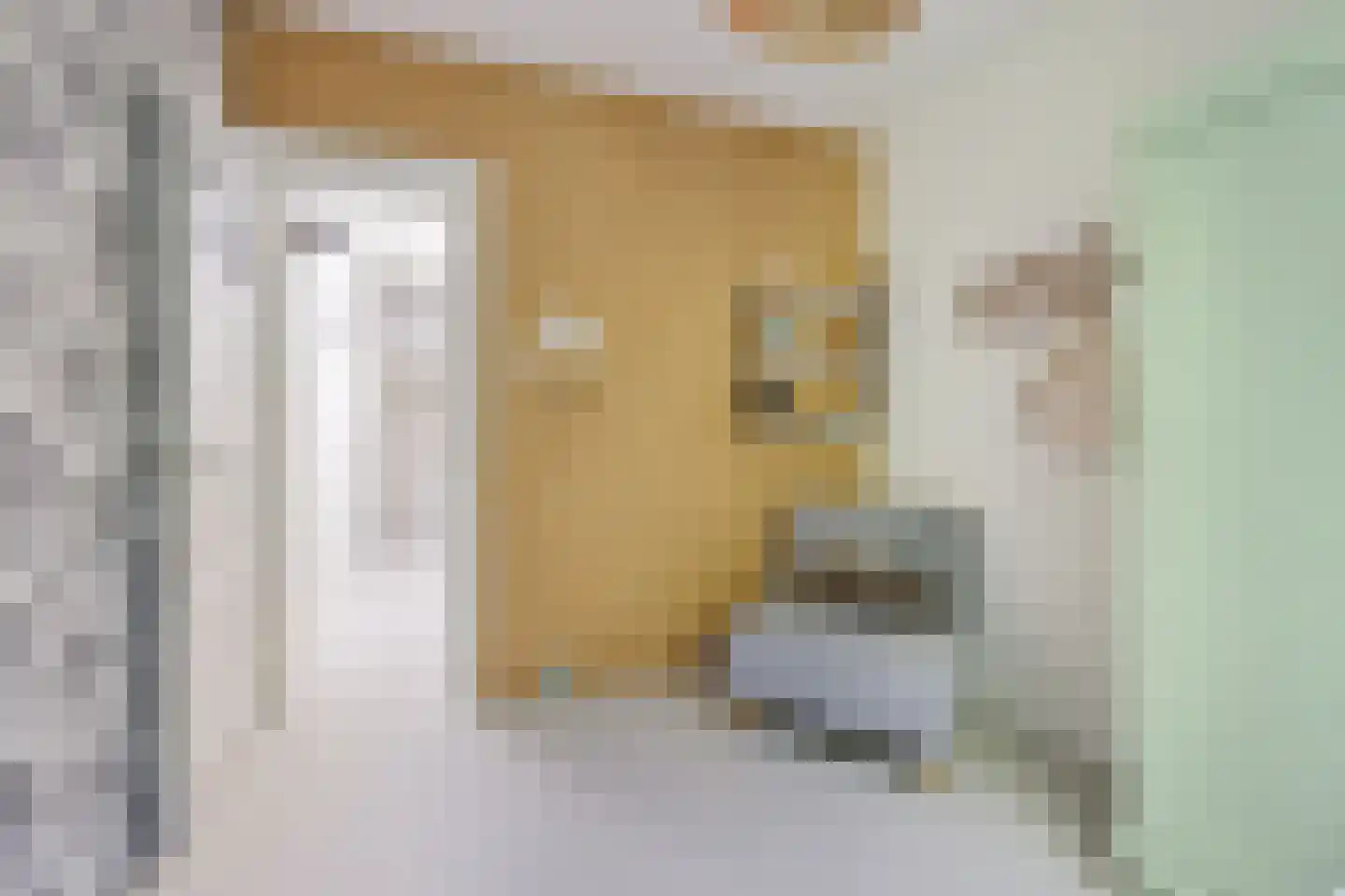 Agnes van Leeuwenberchstraat 18 Utrecht thumbnail 39