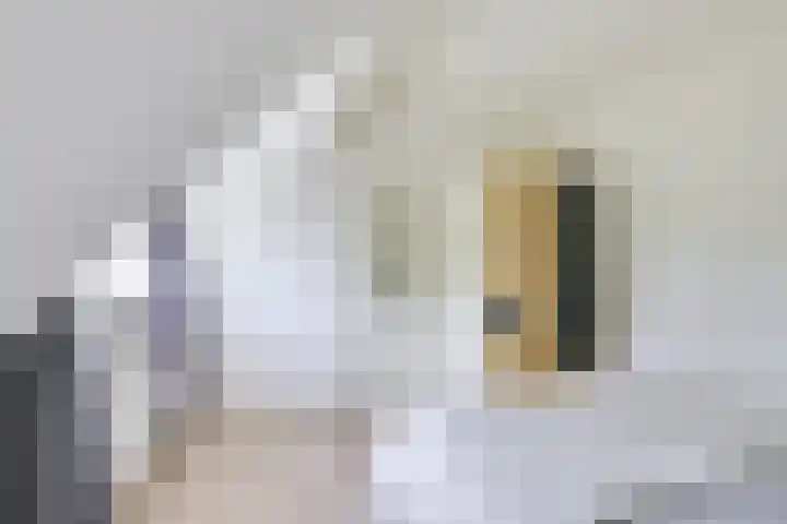 Agnes van Leeuwenberchstraat 23 BSA Utrecht thumbnail 35