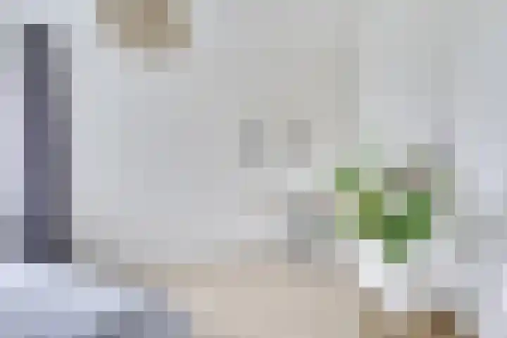 Agnes van Leeuwenberchstraat 23 BSA Utrecht thumbnail 37