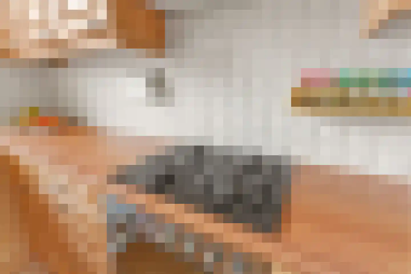 Agnesgaarde 4 Nieuwegein thumbnail 11