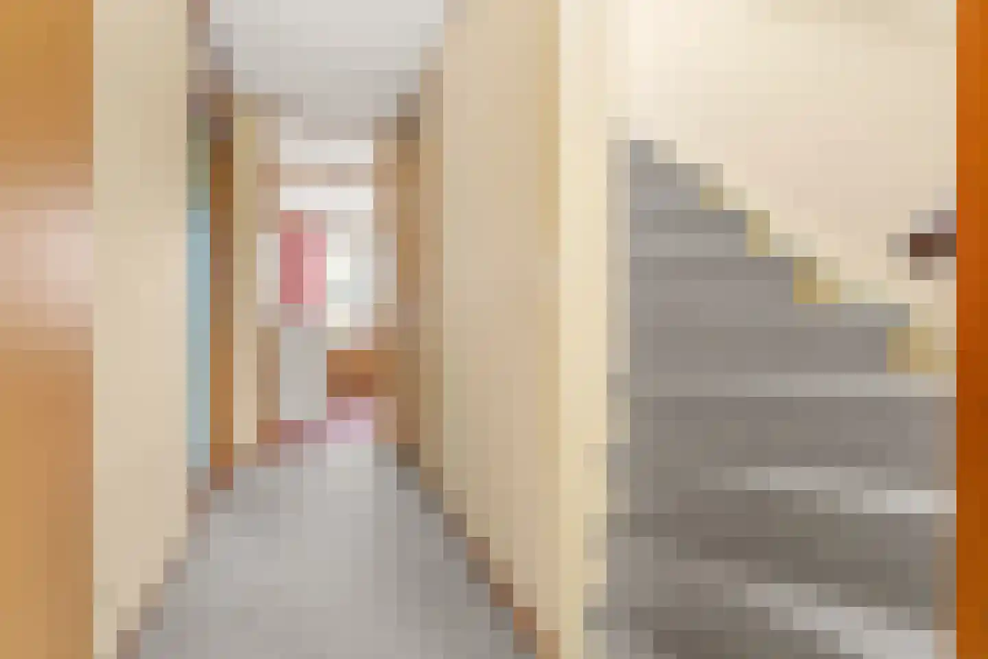 Agnesgaarde 4 Nieuwegein thumbnail 15