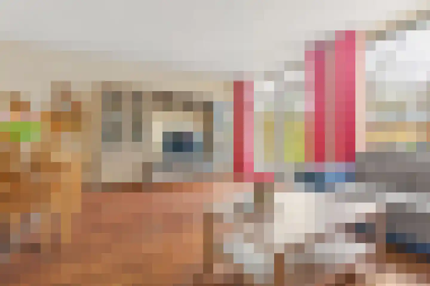 Agnesgaarde 4 Nieuwegein thumbnail 5