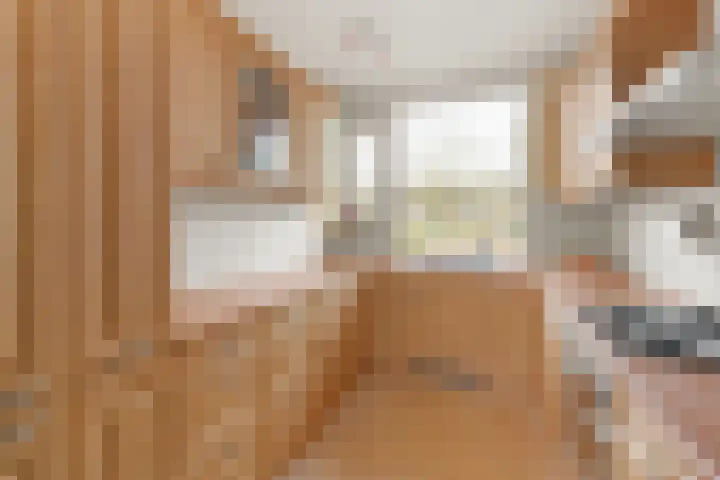 Agnesgaarde 4 Nieuwegein thumbnail 9