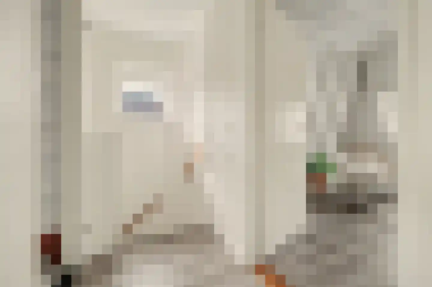 Agnesgang 5 Goes thumbnail 19