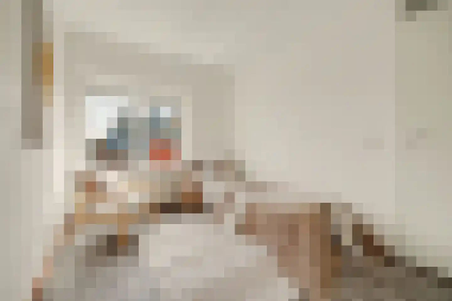 Agnesgang 5 Goes thumbnail 6