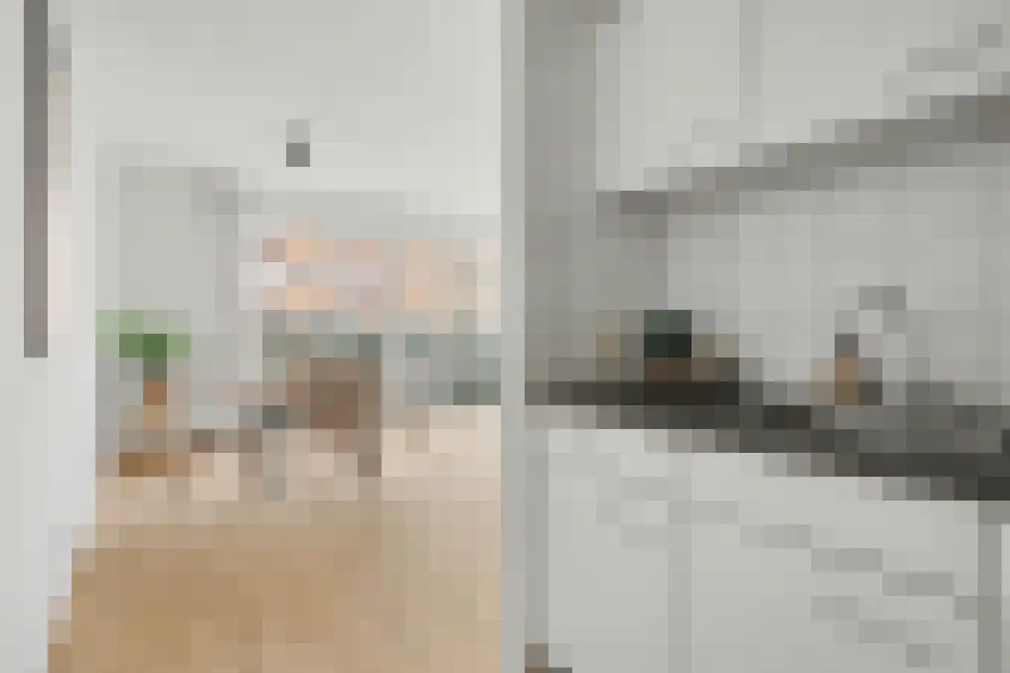 Agnesgang 6 Goes thumbnail 13