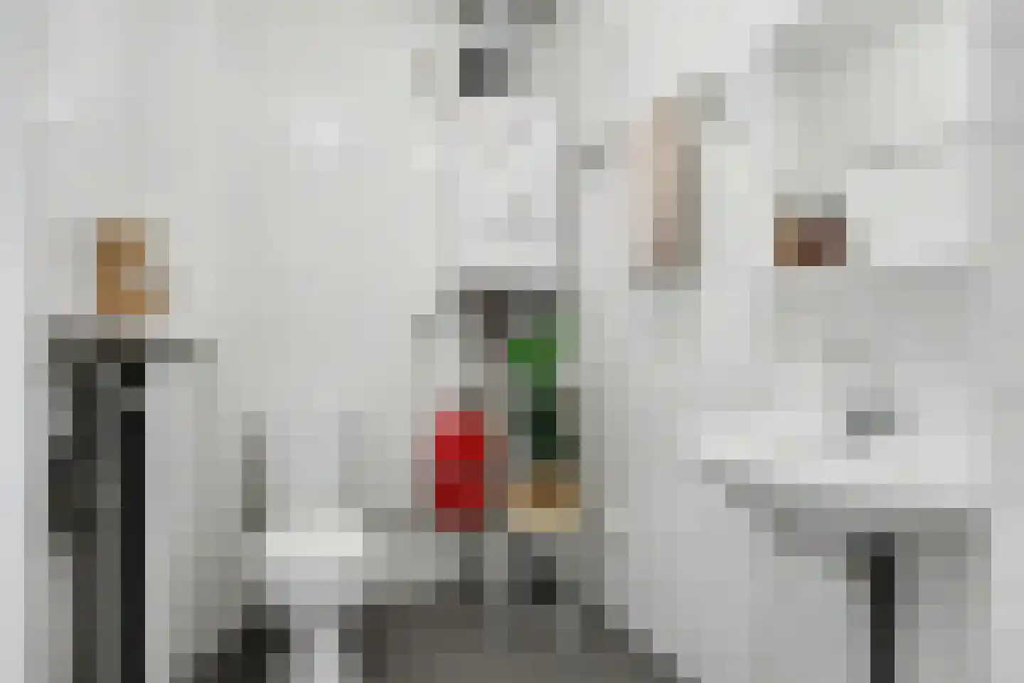 Agnesgang 6 Goes thumbnail 15