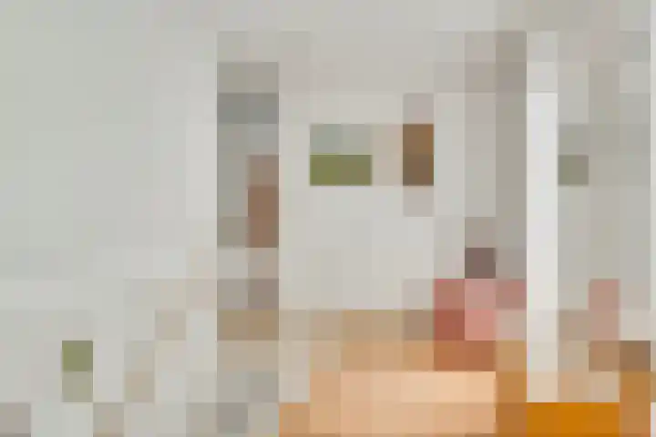 Agneshof 23 Nederweert thumbnail 18