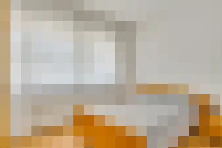 Agneshof 23 Nederweert thumbnail 21