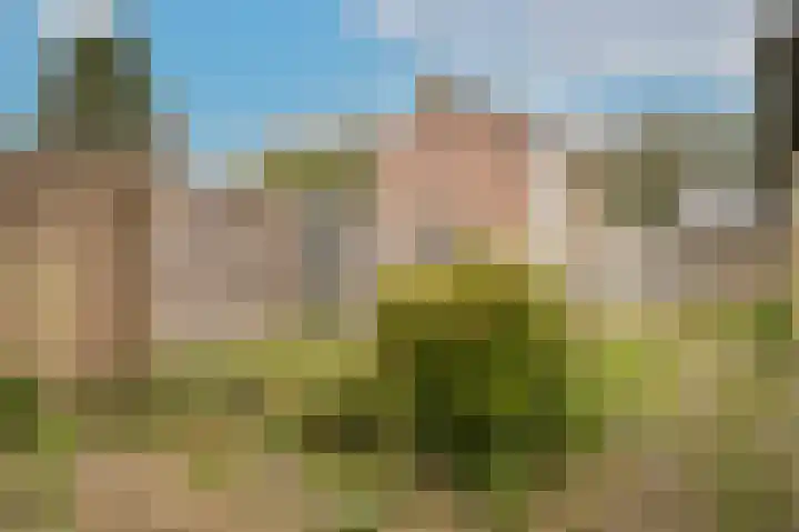Agneshof 5 Lienden thumbnail 16