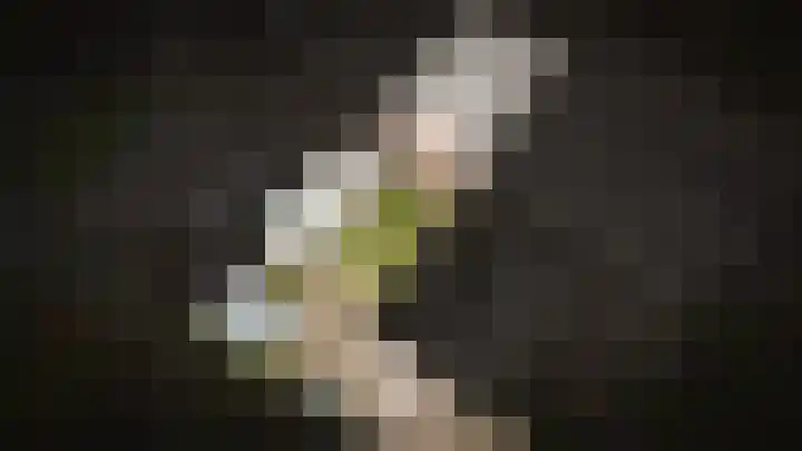 Agneshof 5 Lienden thumbnail 27