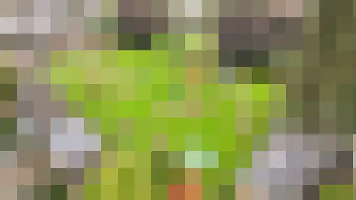 Agneshof 5 Lienden thumbnail 28