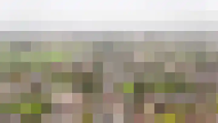 Agneshof 5 Lienden thumbnail 29
