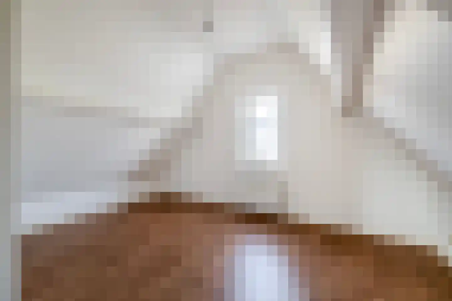 Agneshove 12 Voorhout thumbnail 42