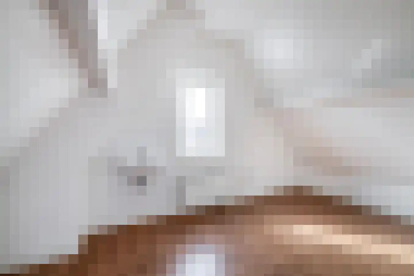 Agneshove 12 Voorhout thumbnail 43