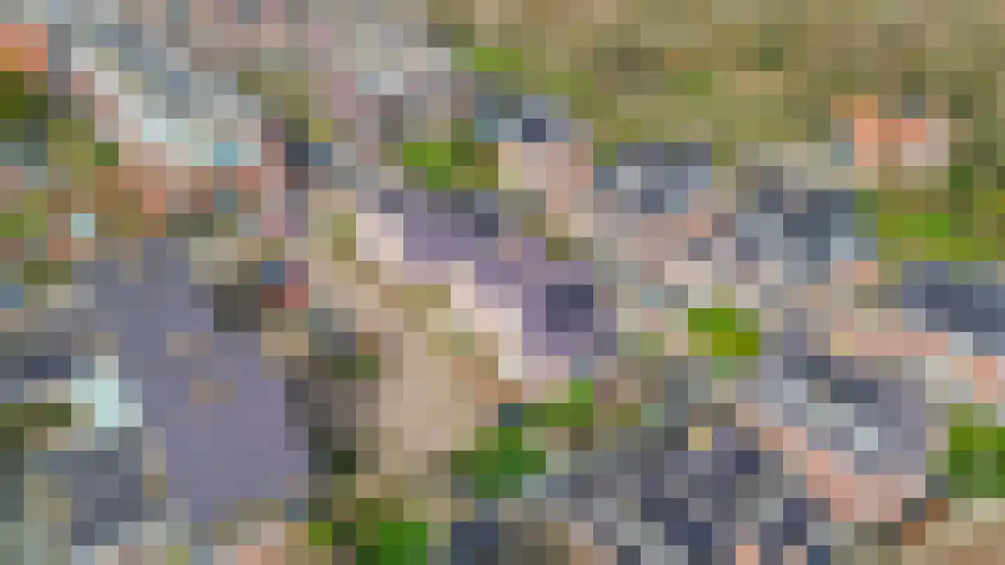 Agneshove 12 Voorhout thumbnail 47