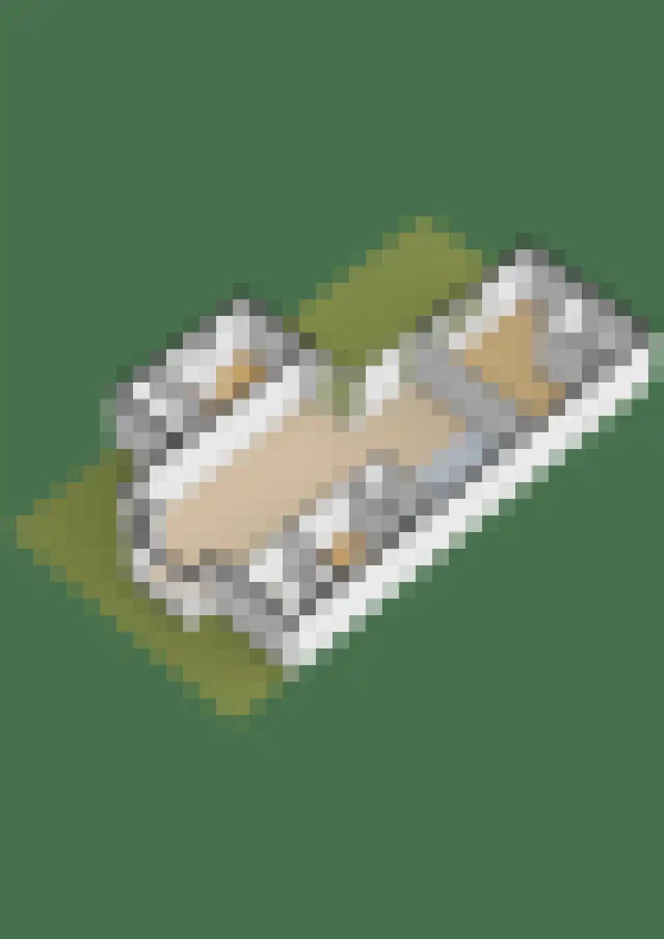 Agneshove 12 Voorhout thumbnail 61