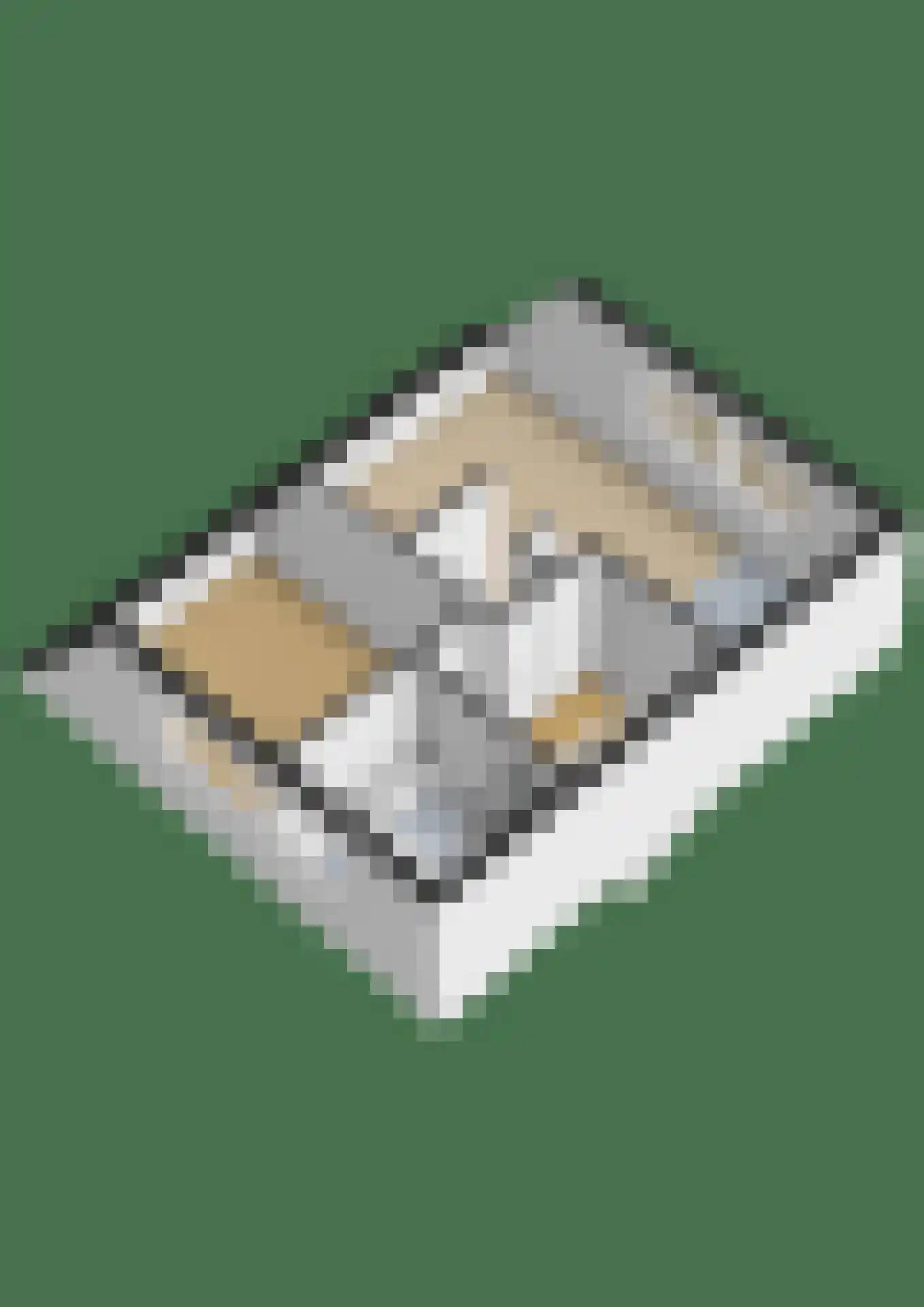 Agneshove 12 Voorhout thumbnail 63
