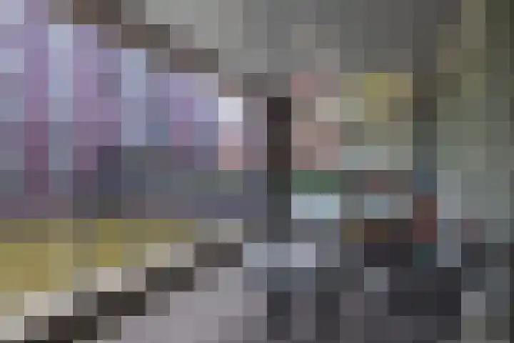 Agneshove 42 Voorhout thumbnail 11