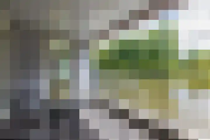 Agneshove 42 Voorhout thumbnail 13