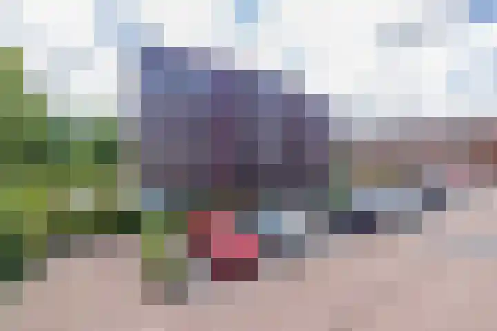 Agneshove 42 Voorhout foto 2