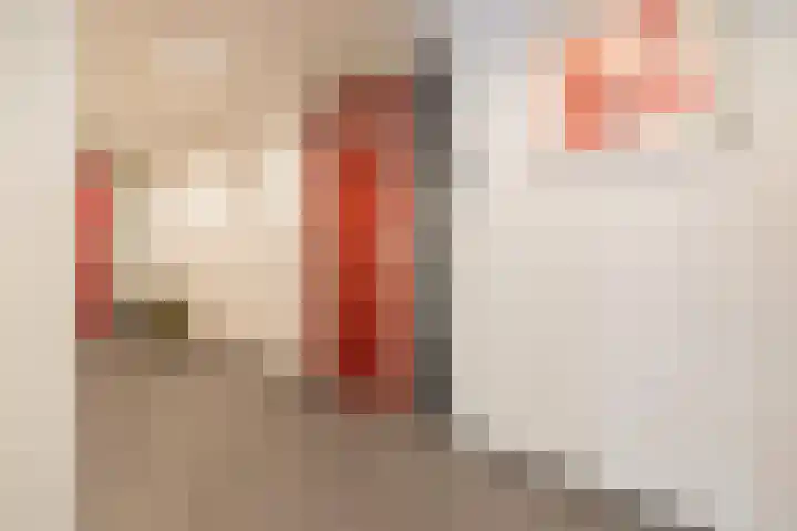 Agneshove 42 Voorhout thumbnail 30