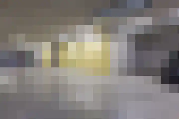 Agneshove 42 Voorhout thumbnail 32