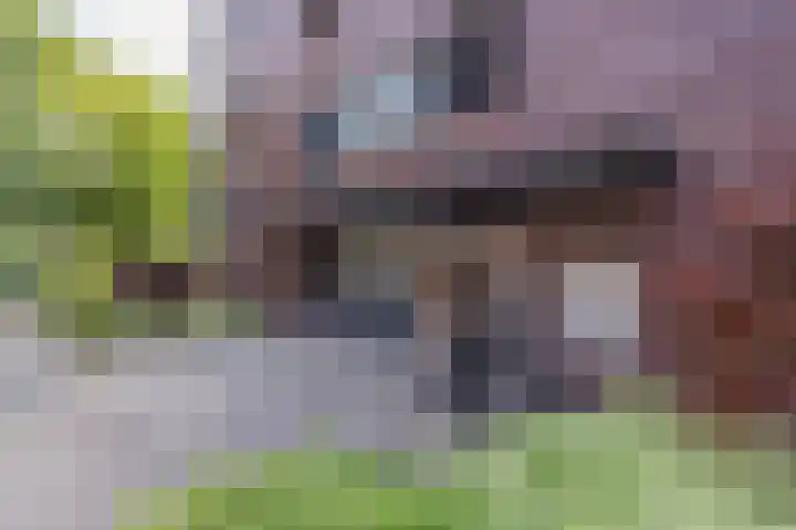 Agneshove 42 Voorhout thumbnail 33
