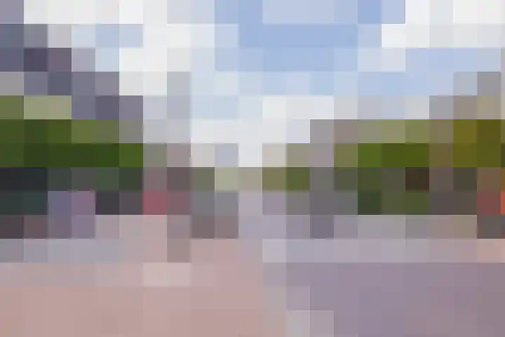 Agneshove 42 Voorhout thumbnail 41
