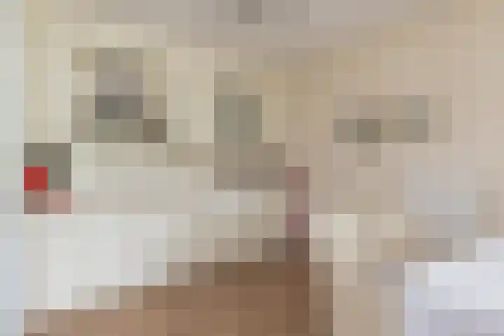 Agneshove 42 Voorhout thumbnail 8