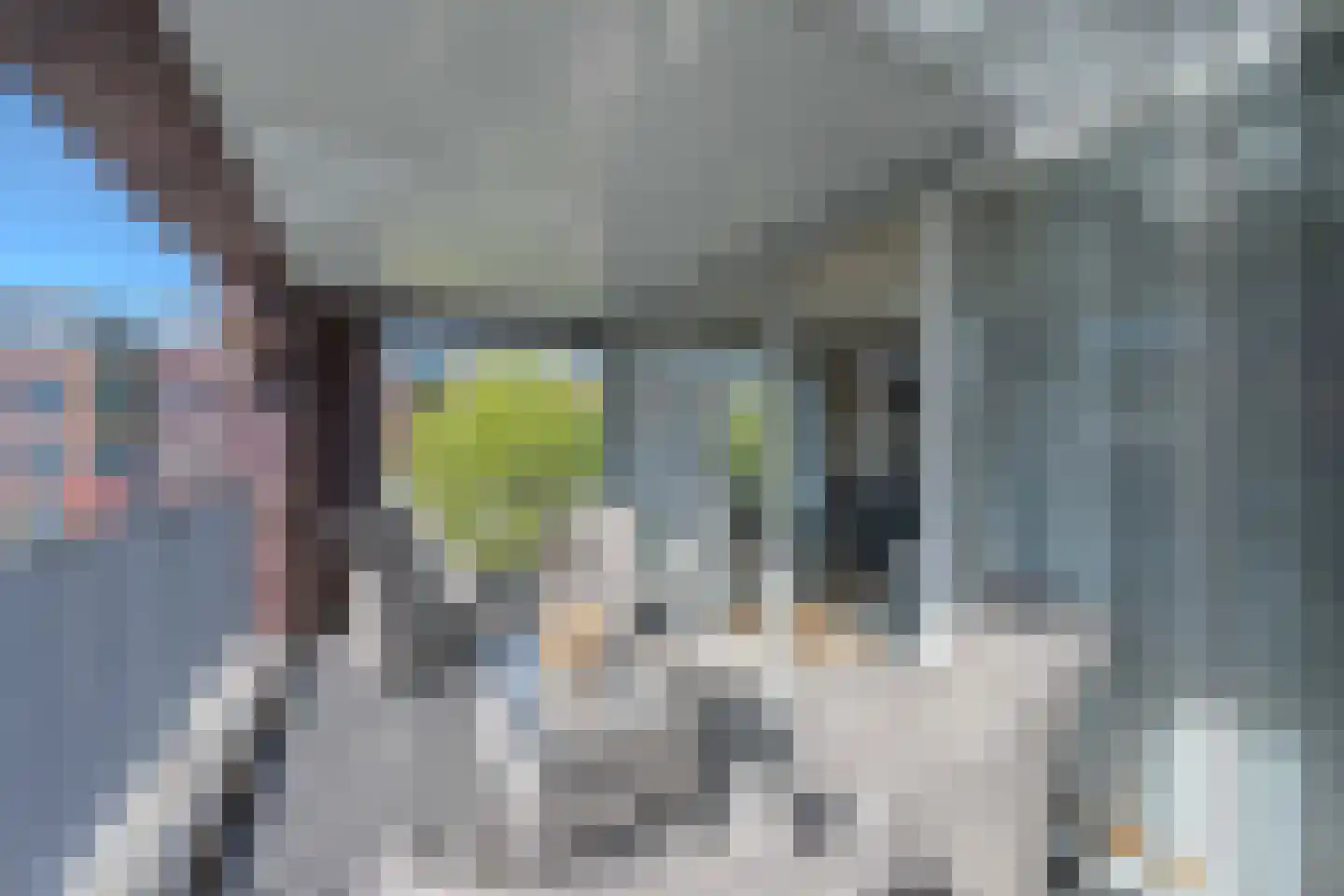 Agneshove 46 Voorhout thumbnail 11