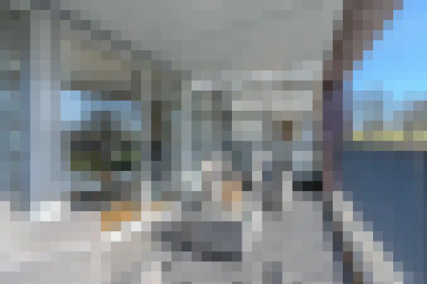 Agneshove 46 Voorhout thumbnail 12
