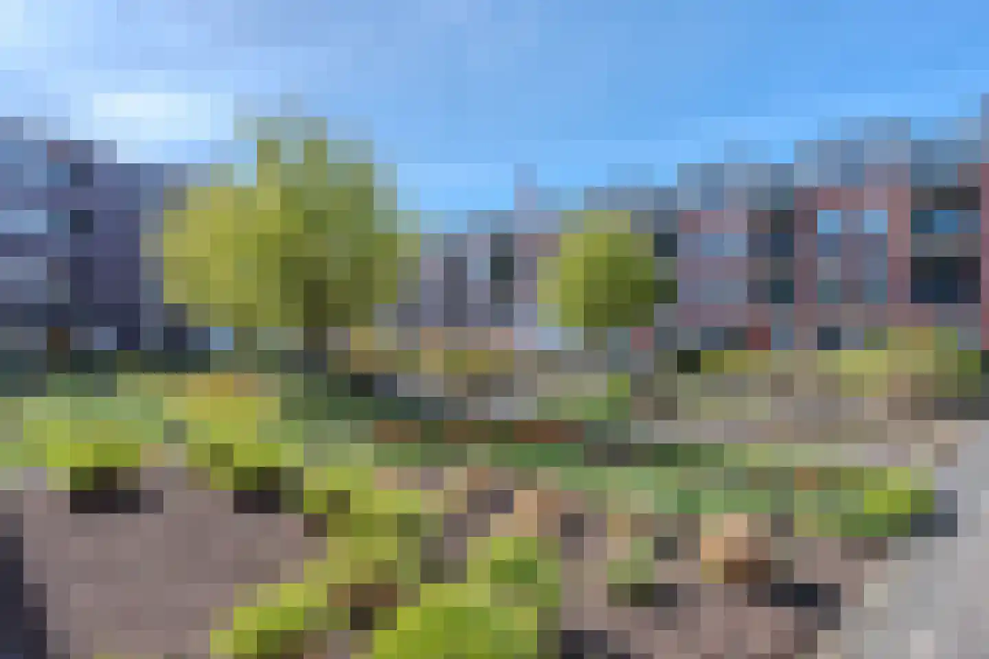 Agneshove 46 Voorhout thumbnail 29