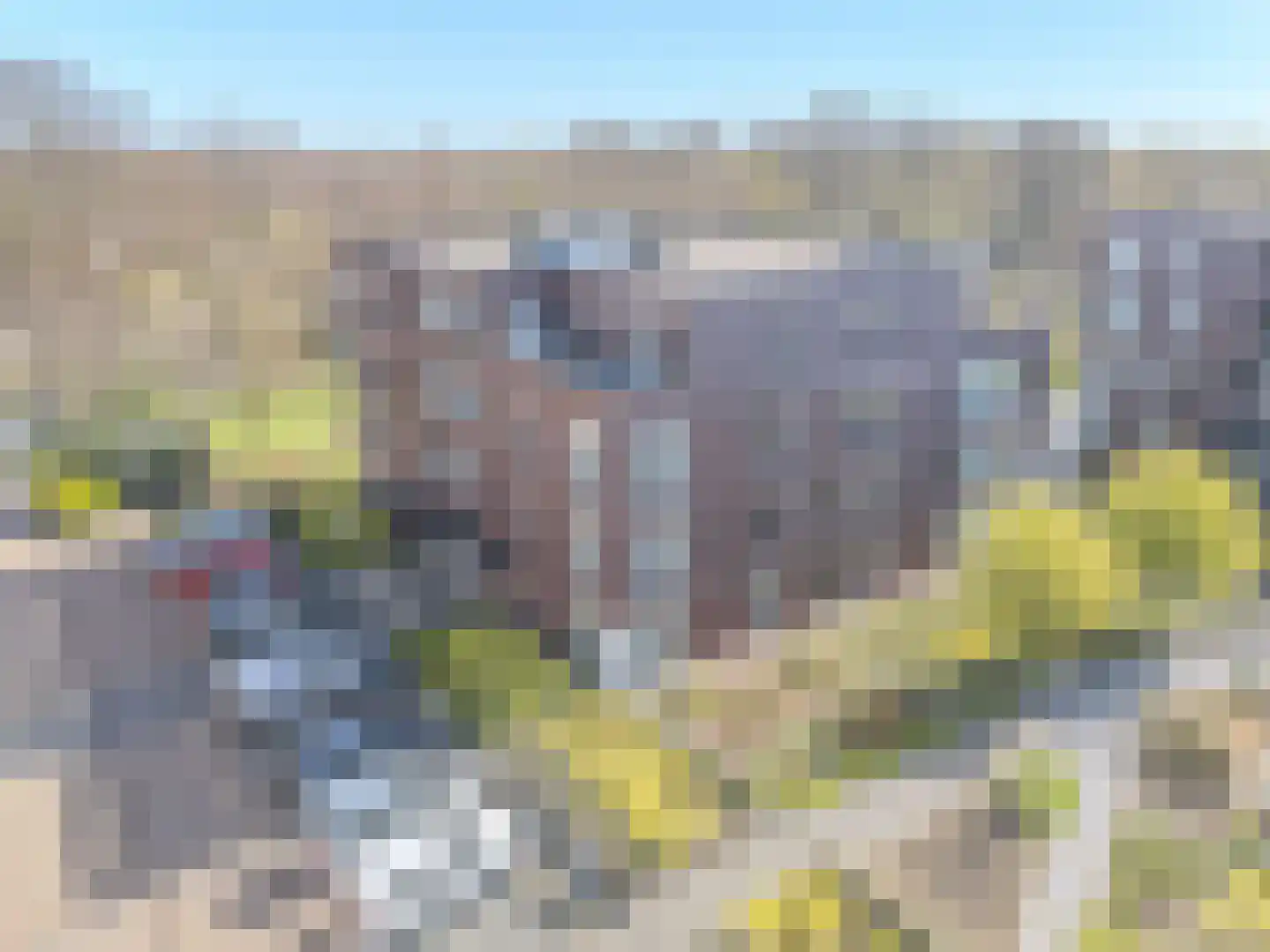 Agneshove 46 Voorhout thumbnail 32
