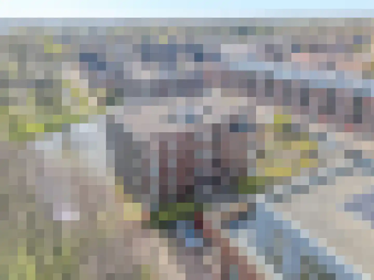 Agneshove 46 Voorhout thumbnail 33
