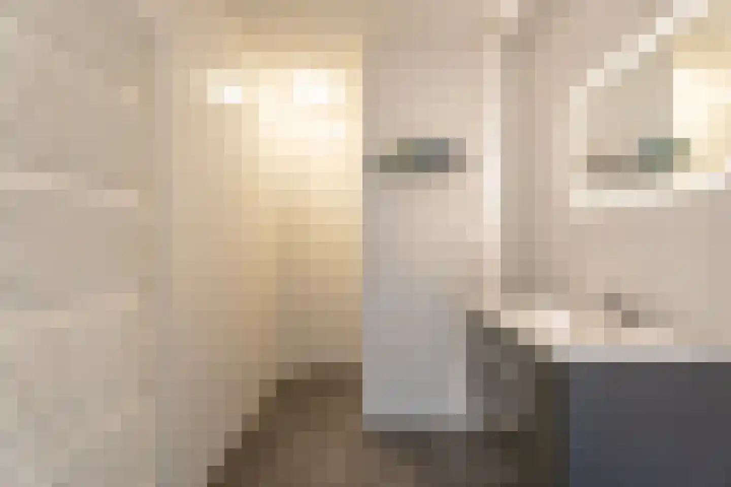 Agneshove 69 Voorhout thumbnail 13