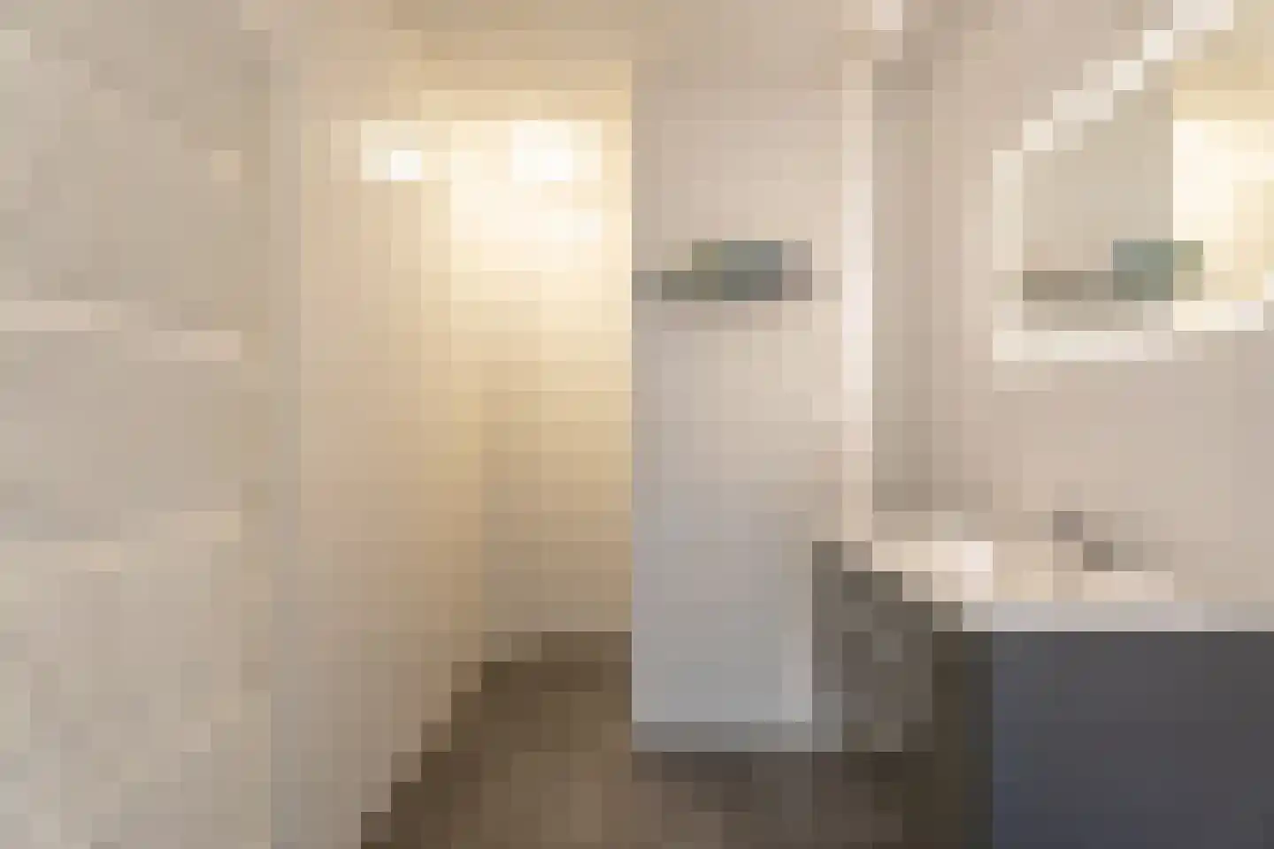 Agneshove 69 Voorhout thumbnail 13