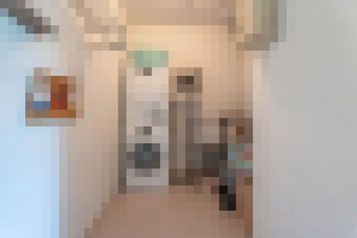 Agneshove 69 Voorhout thumbnail 18