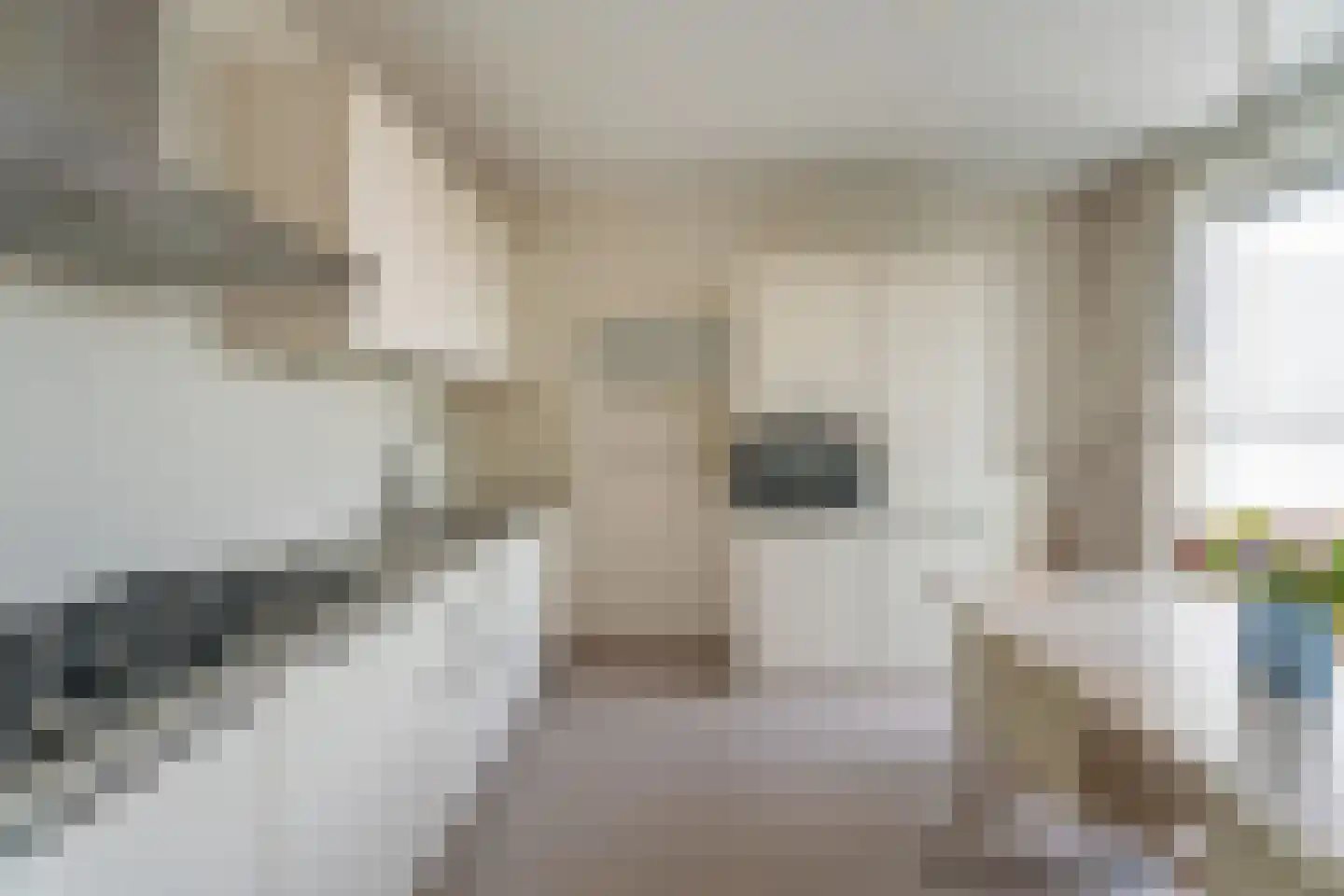 Agneshove 69 Voorhout thumbnail 6