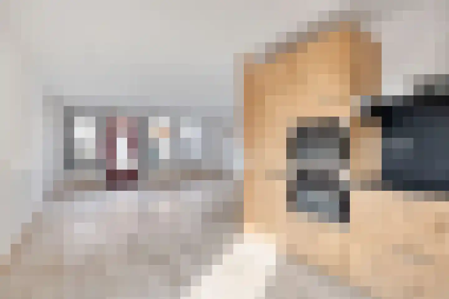 Agniese van Langerakdreef 7 Vianen thumbnail 17